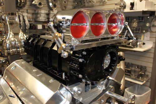 ENDERLE BIRDCATCHERS- BLOWN-UNBLOWN-PARTIAL